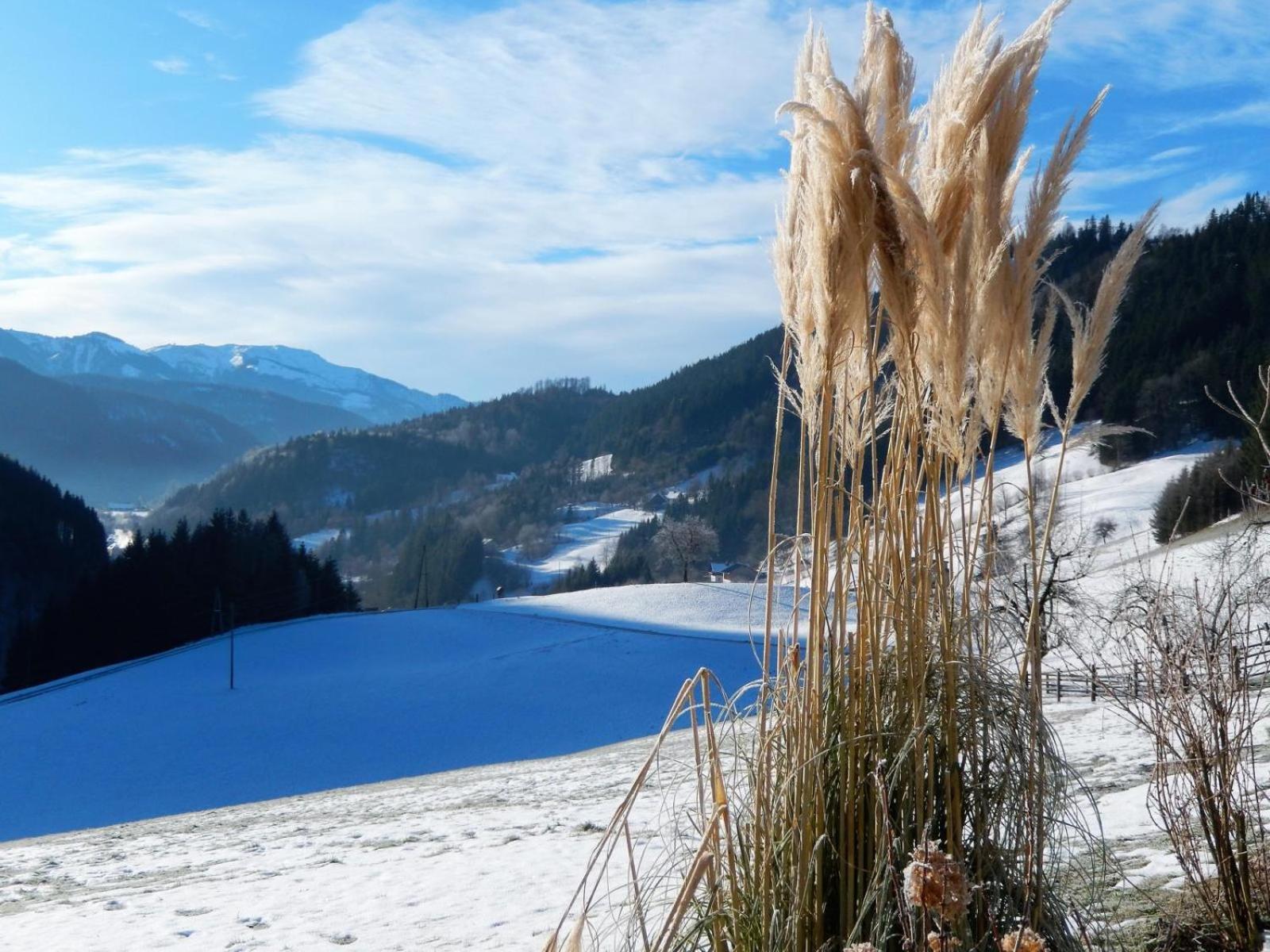 Biobauernhof Poidlbauer Goestling an der Ybbs