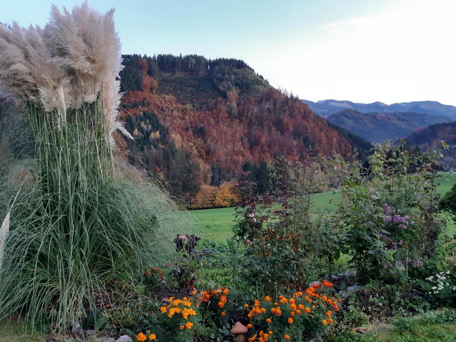 Farm stay Biobauernhof Poidlbauer