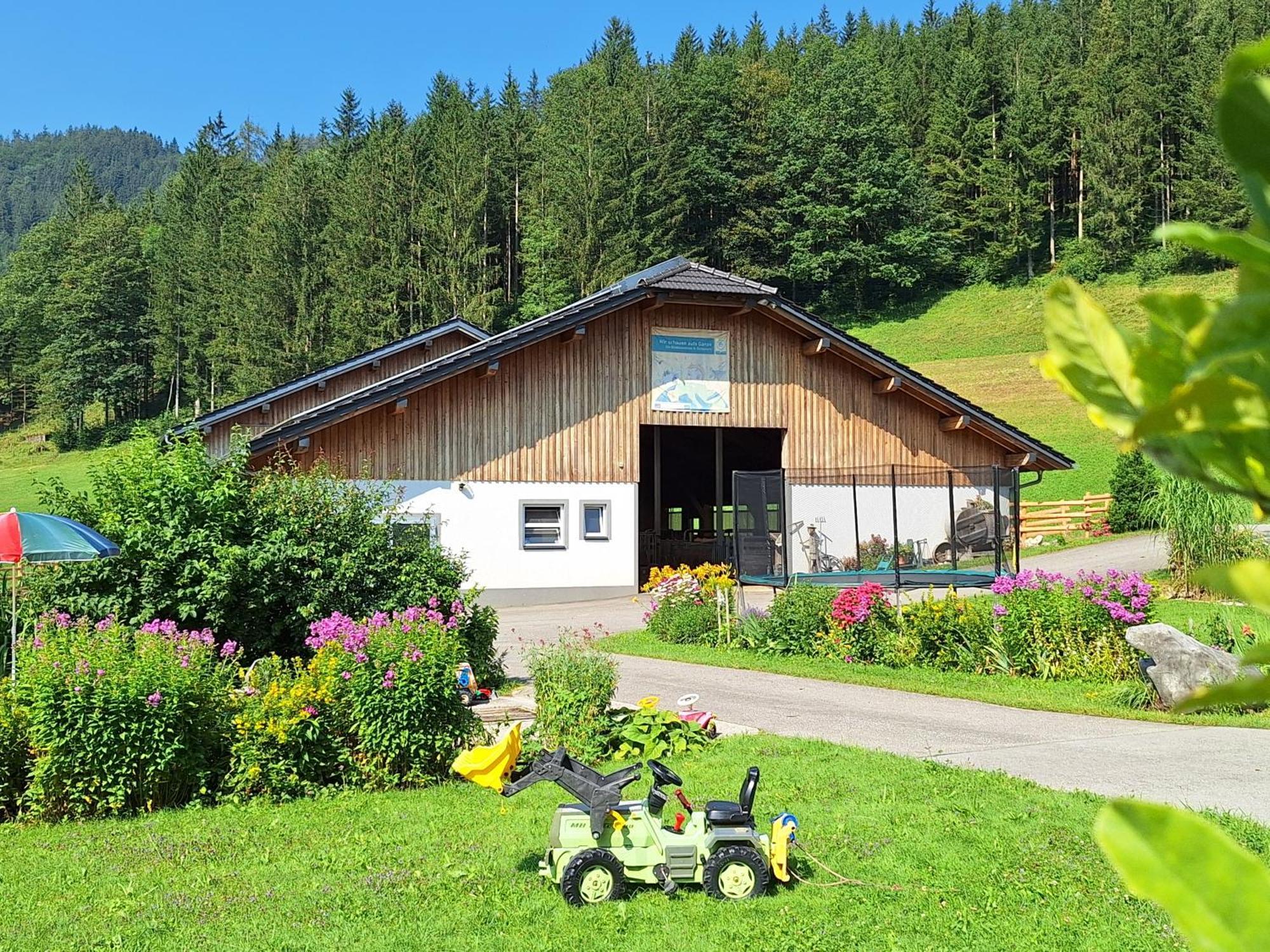 Biobauernhof Poidlbauer Farm stay *