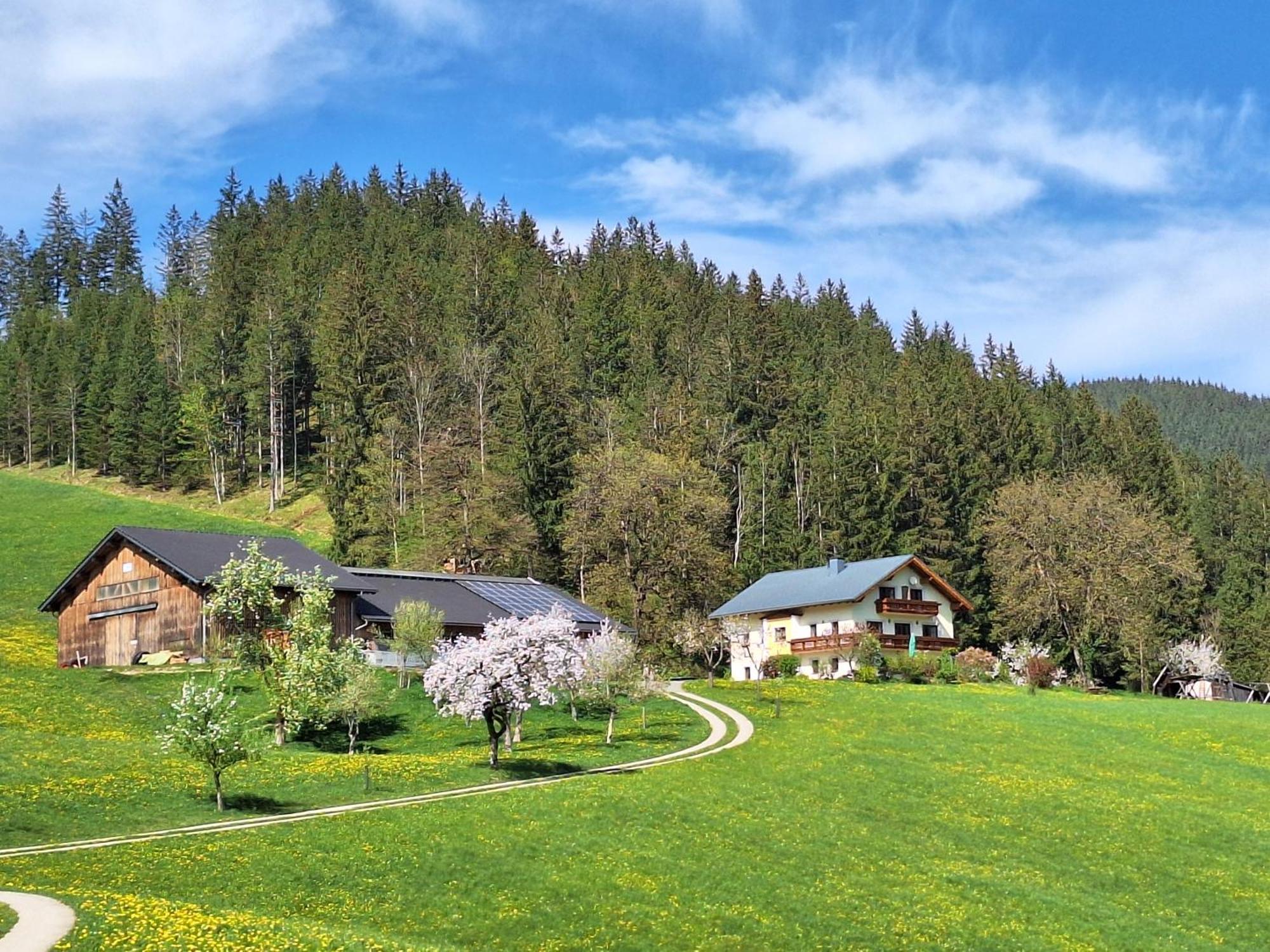 Biobauernhof Poidlbauer * Goestling an der Ybbs