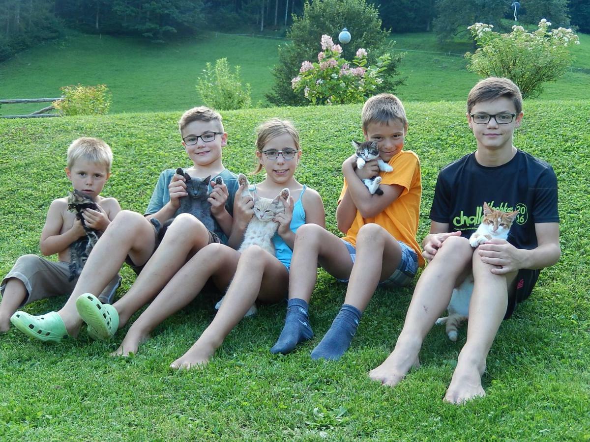Biobauernhof Poidlbauer Farm stay Goestling an der Ybbs