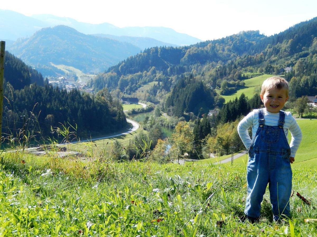 Biobauernhof Poidlbauer Goestling an der Ybbs
