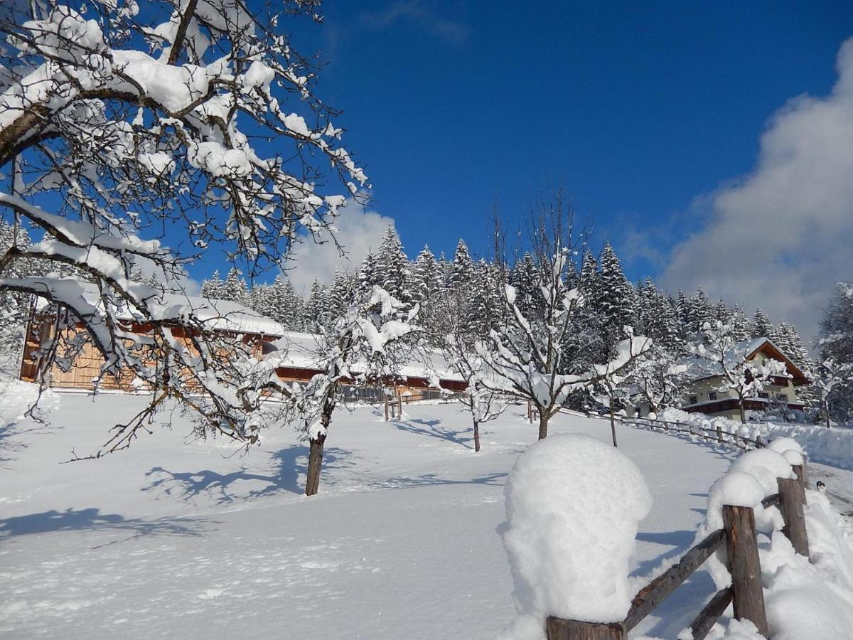 Farm stay Biobauernhof Poidlbauer *